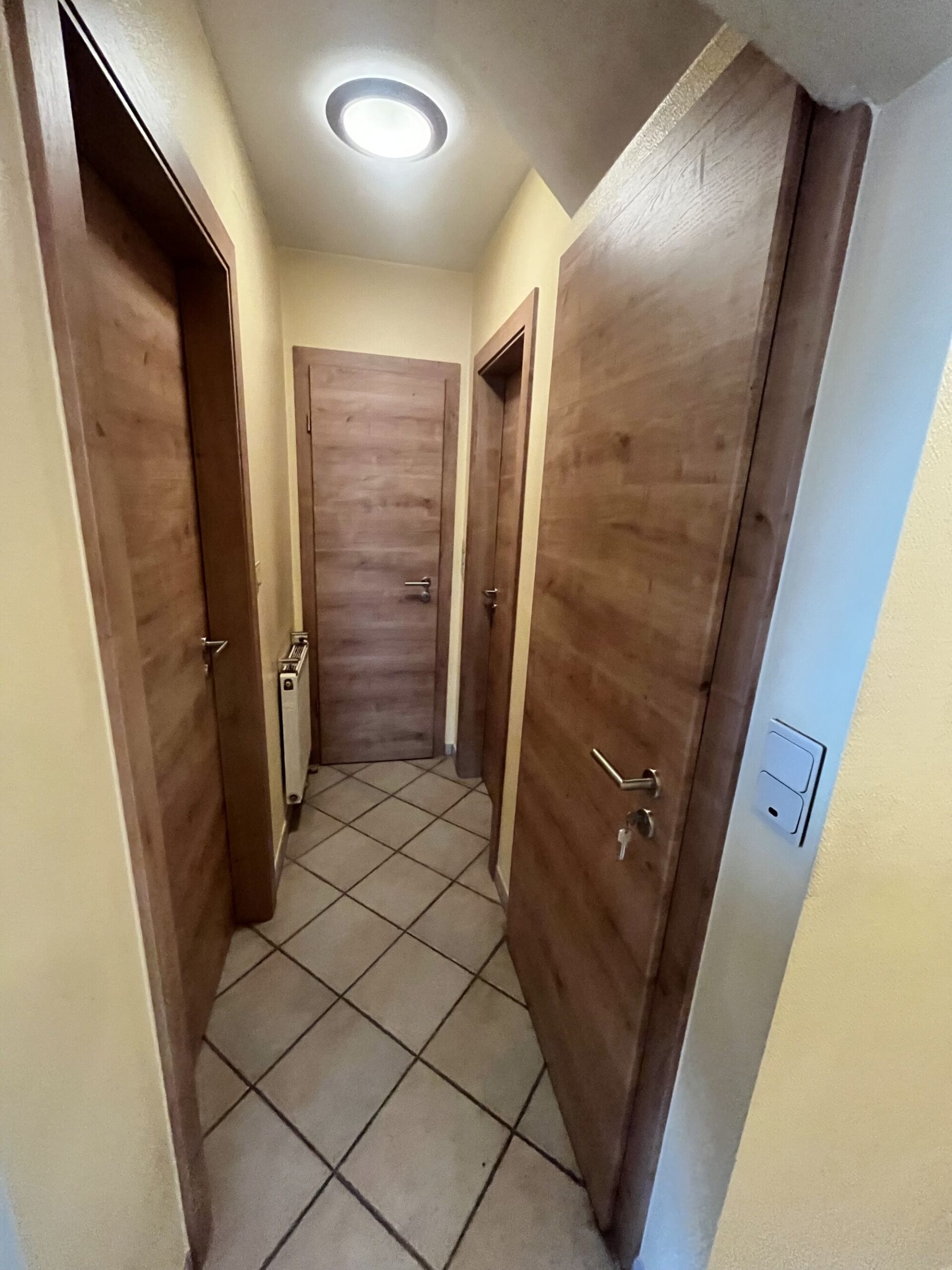 IMG_7578 SCALED | Baumann conception 🔨🚪 Mission portes sauvagement réussie à Blodelsheim ! 😄 Cernay 1